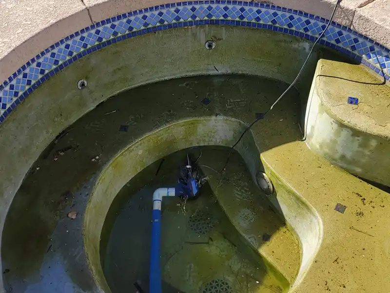 Green Pool Recovery — Before